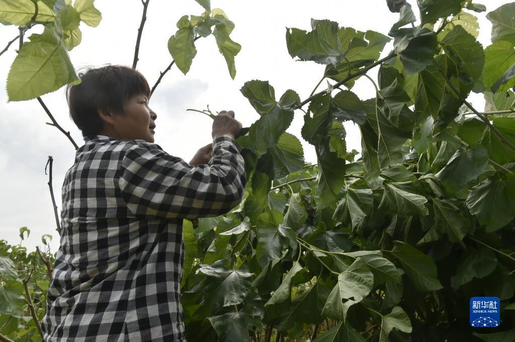 微信客服注册送分捕鱼
